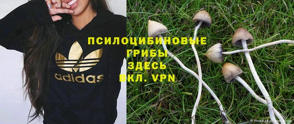 соль курить ск Алзамай