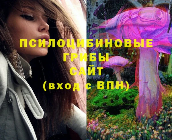 спиды Алексеевка