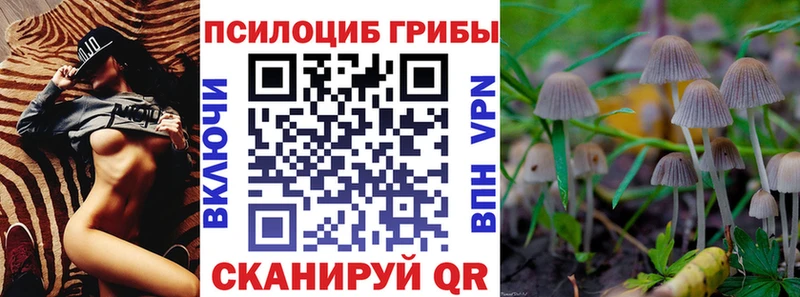 Галлюциногенные грибы MAGIC MUSHROOMS  где можно купить   Нелидово 