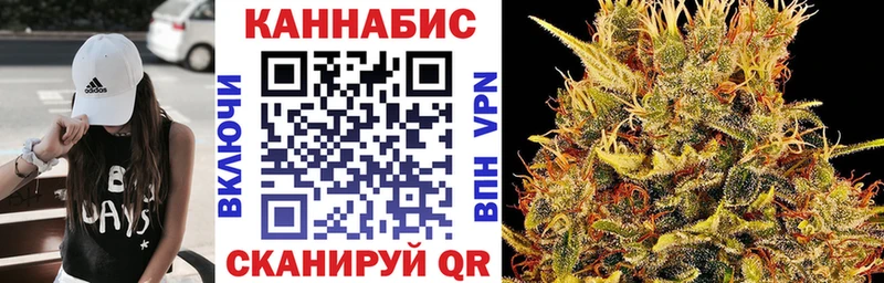 Бошки марихуана марихуана  где купить наркотик  Нелидово 